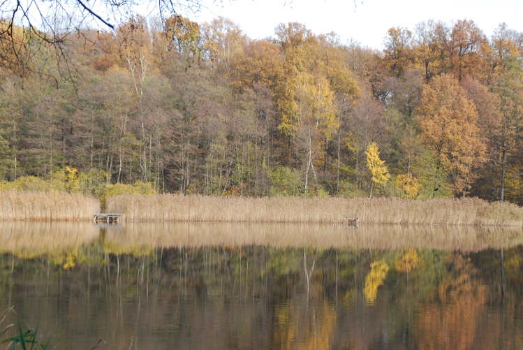 DSC_0055.JPG