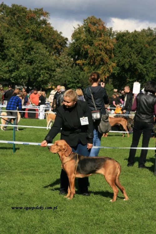 Dziewczyny.