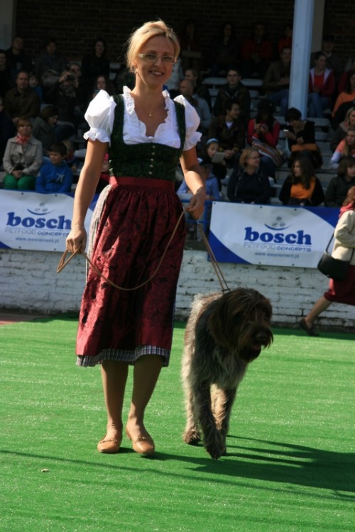 Wrocław 2013 096.jpg