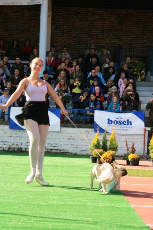 Wrocław 2013 097.jpg