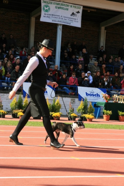 Wrocław 2013 102.jpg