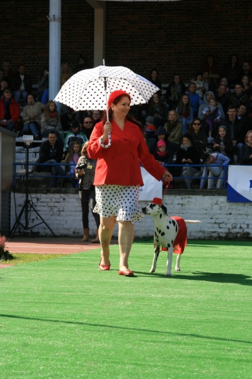 Wrocław 2013 103.jpg