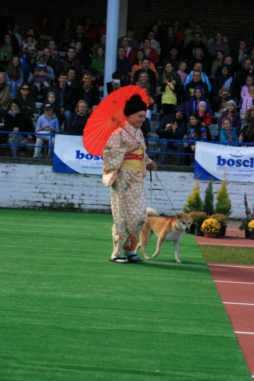 Wrocław 2013 105.jpg