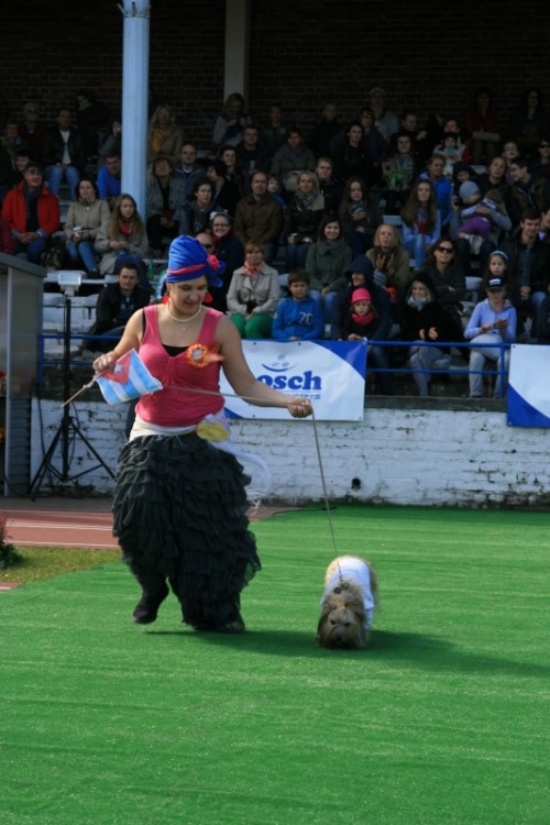 Wrocław 2013 106.jpg