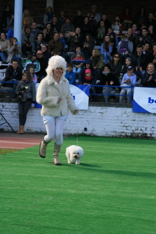 Wrocław 2013 107.jpg