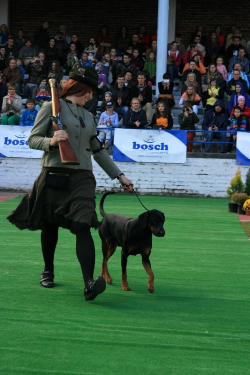 Wrocław 2013 109.jpg