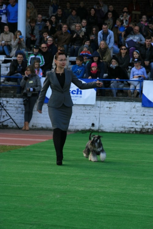 Wrocław 2013 110.jpg
