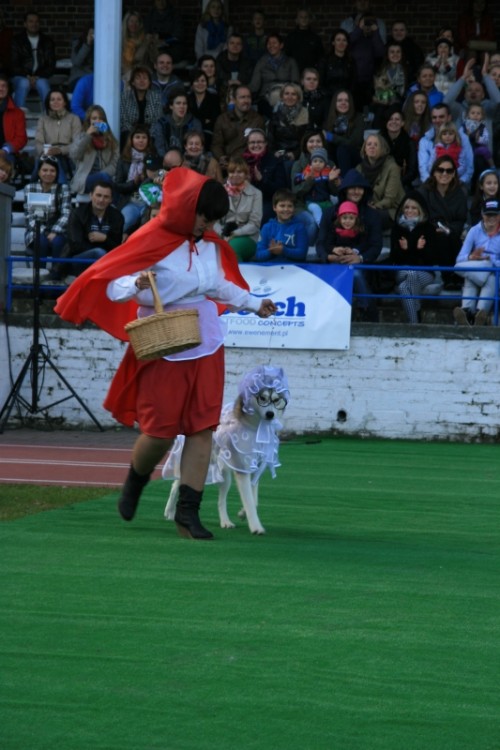 Wrocław 2013 114.jpg
