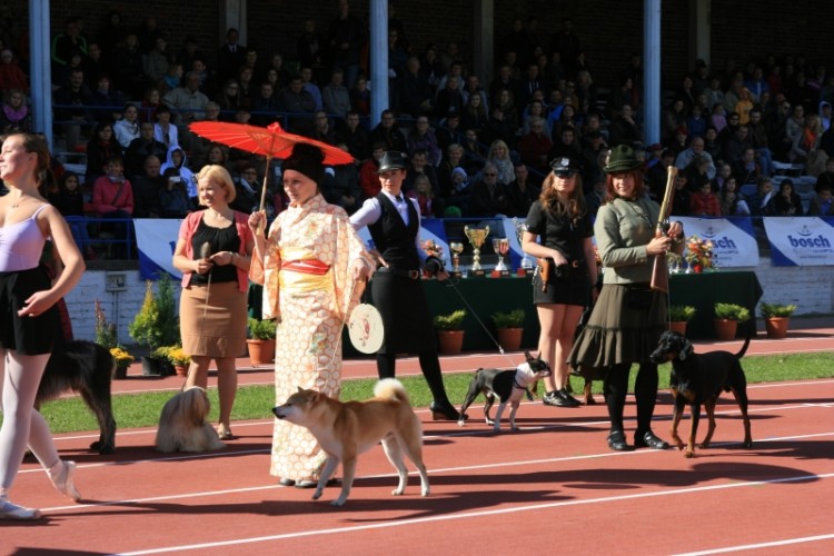 Wrocław 2013 130.jpg