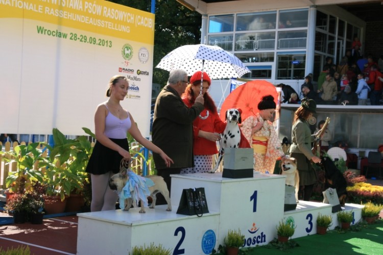 Wrocław 2013 136.jpg