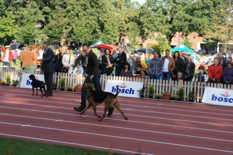Wrocław 2013 142.jpg