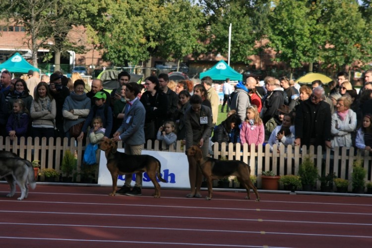 Wrocław 2013 154.jpg