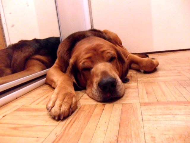 SAM_4558.JPG