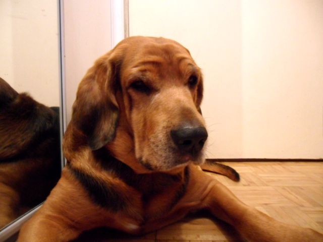 SAM_4551.JPG