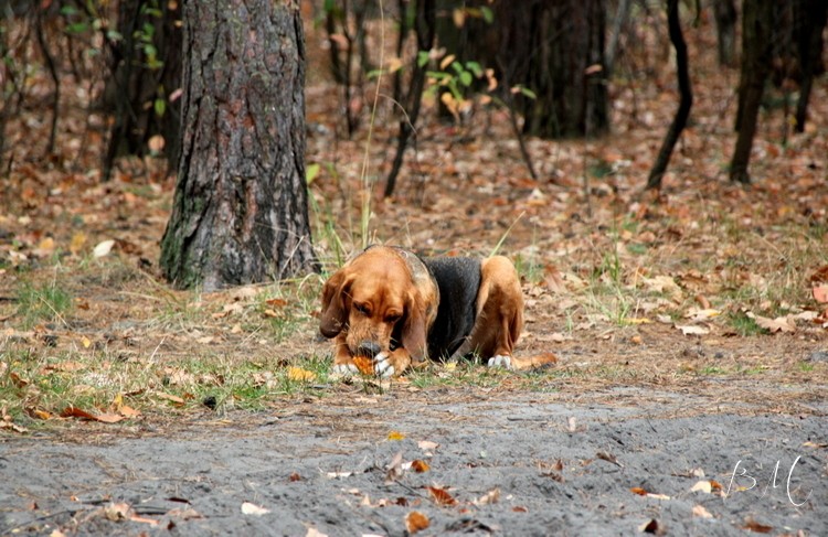 Dobre jedzonko ...