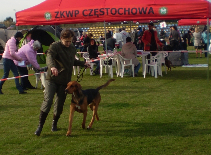 No dobra niech Ci będzie pobiegnę trochę...