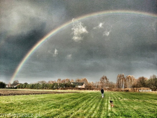 20131106_075941_HDR~2_zmniejszacz-pl_218063.jpg