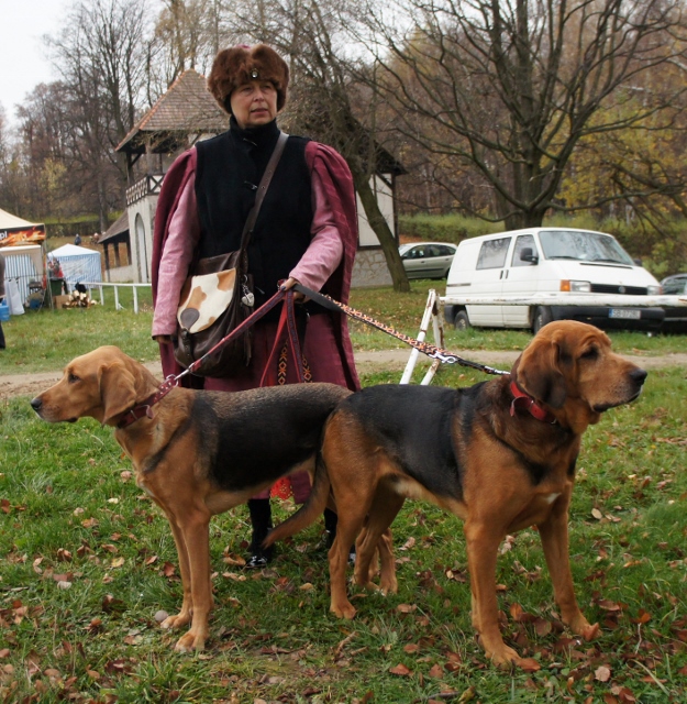 DSC07993 (625x640).jpg