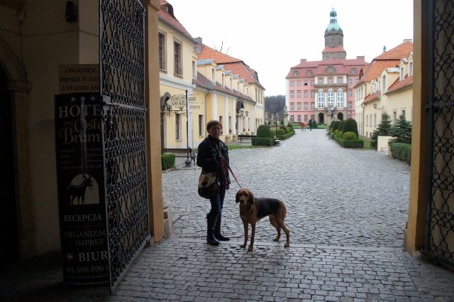 DSC07907 (640x425).jpg