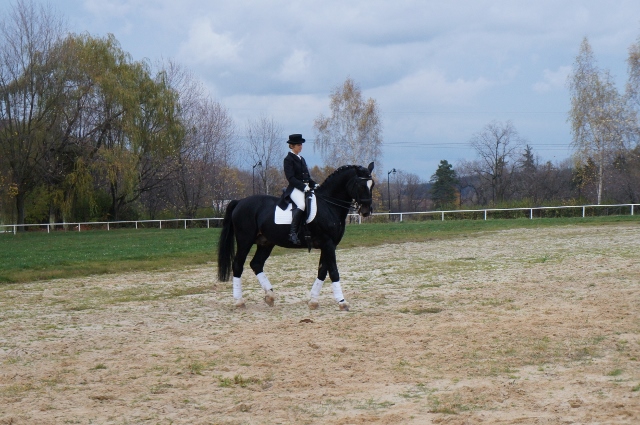 DSC08022 (640x425).jpg