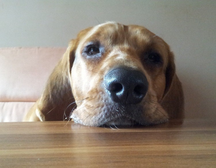 20131108_133939.jpg