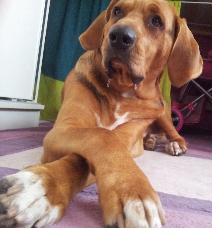 20131107_110925.jpg