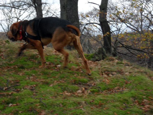 SAM_4635.JPG