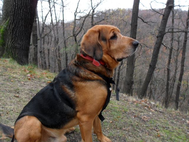 SAM_4578.JPG