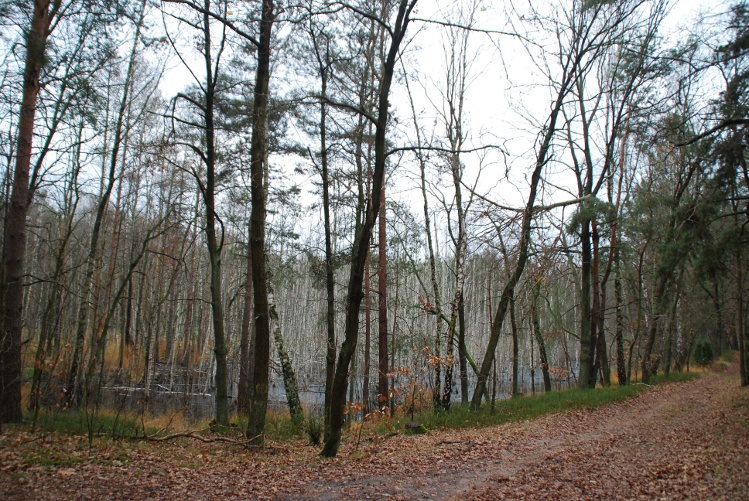 DSC_0029.JPG