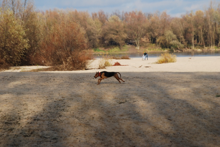 DSC_0105.JPG