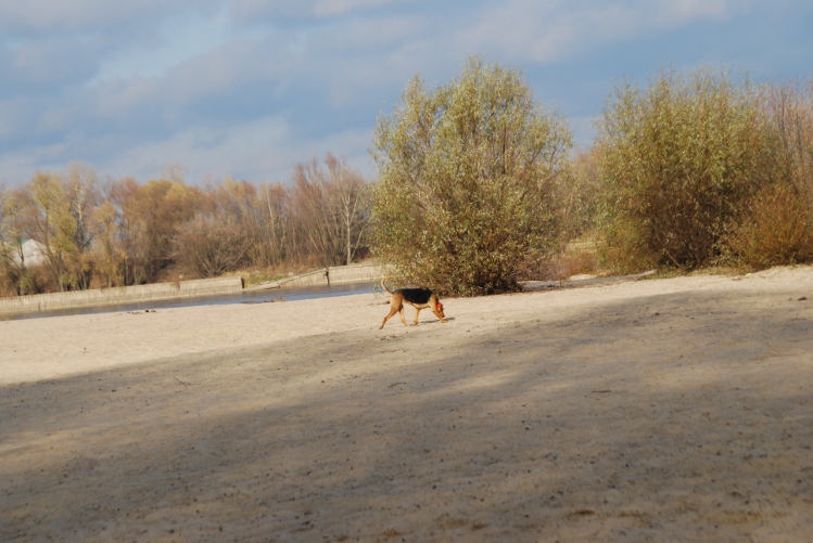 DSC_0113.JPG