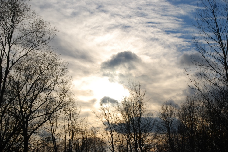 DSC_0300.JPG