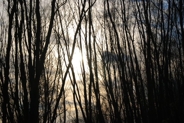 DSC_0280.JPG