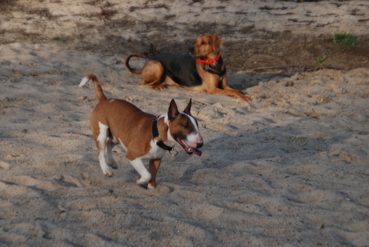 DSC_0200.JPG