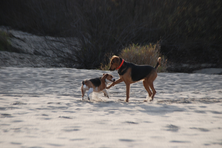 DSC_0217.JPG
