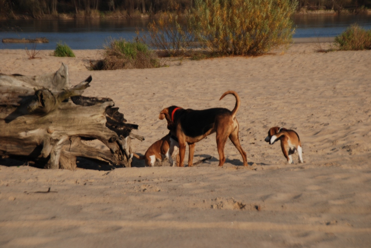 DSC_0230.JPG