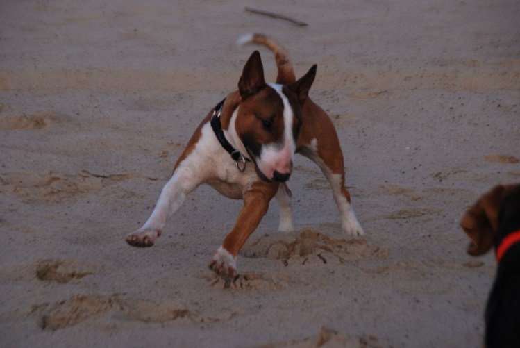 DSC_0234.JPG