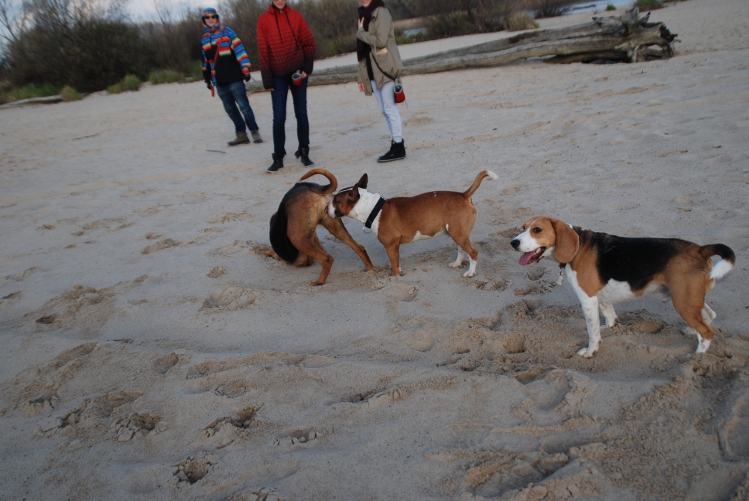 DSC_0237.JPG