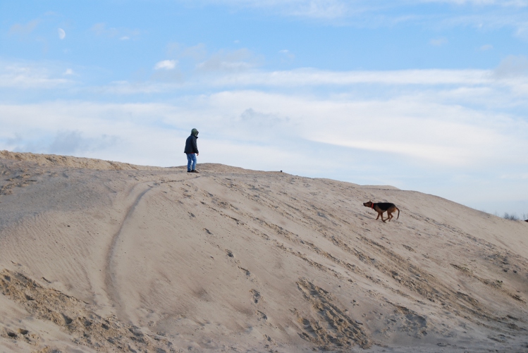 DSC_0338.JPG
