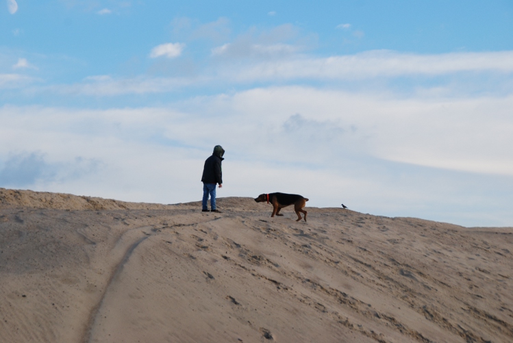 DSC_0339.JPG