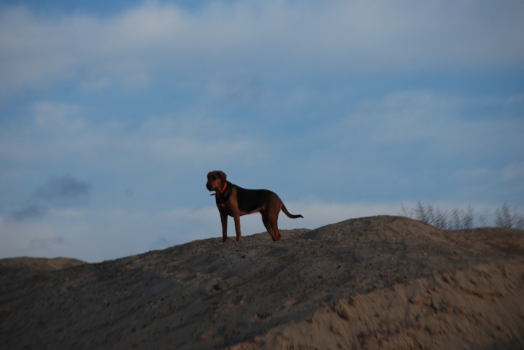 DSC_0344.JPG