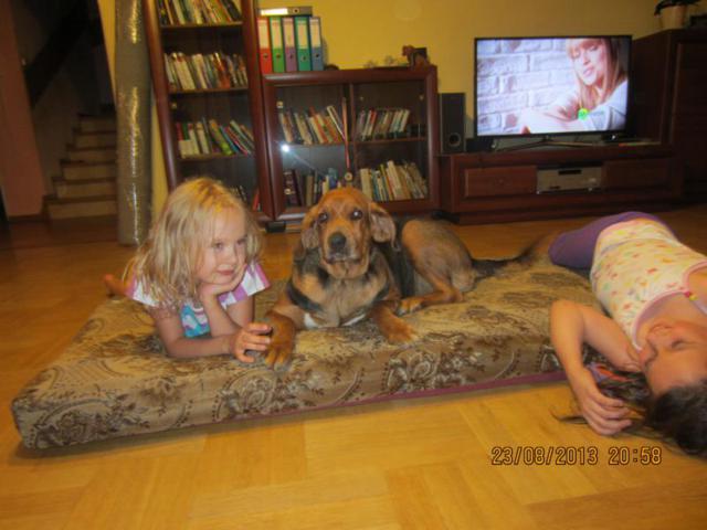 Sierpień 2013 992.jpg