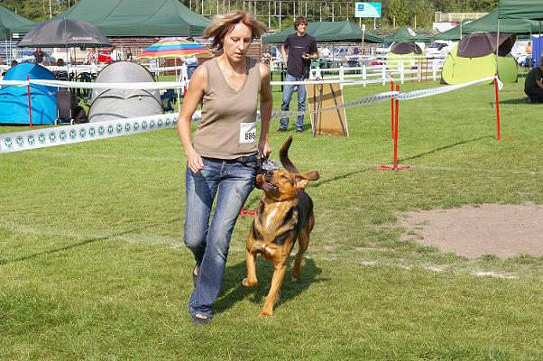 Orik na ringu