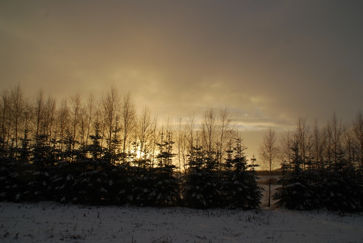 DSC_0004.JPG