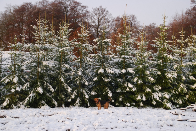DSC_0006.JPG