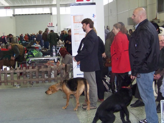 100_6370.jpg