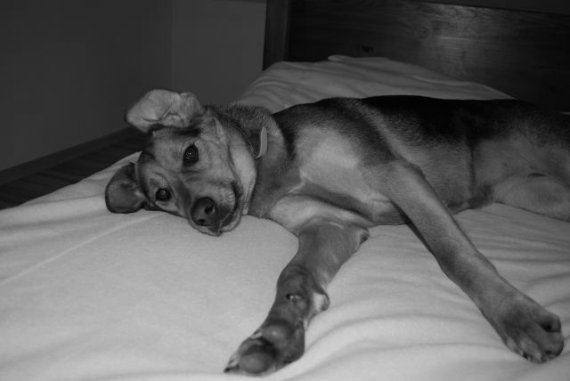 DSC_0115.jak-zmniejszyc-fotke_pl.jpeg