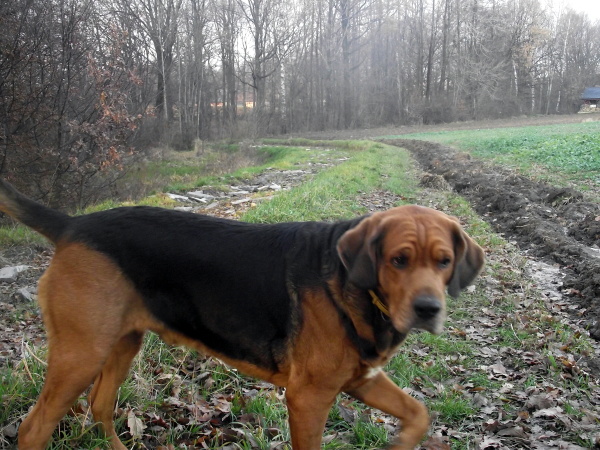 DSCF3704.JPG