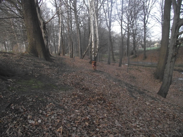 DSCF3712.JPG
