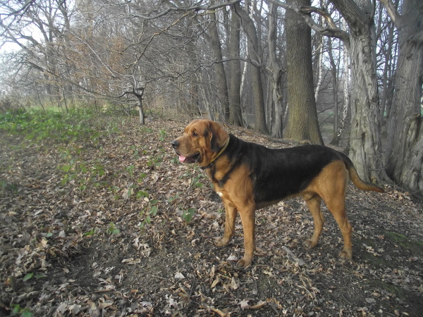 DSCF3713.JPG